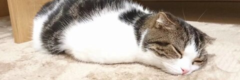 misanay1 OnlyFans - Free Access to 32 Videos & 49 Photos Onlyfans Free Access