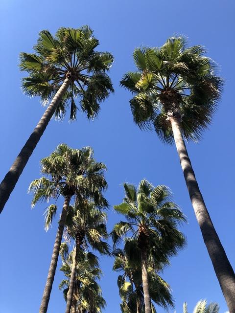 mishkateddybear OnlyFans - Free Access to 32 Videos & 49 Photos Onlyfans Free Access