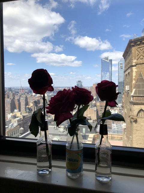 misshawk OnlyFans - Free Access to 40 Videos & 89 Photos Onlyfans Free Access