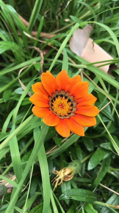 misssexilexi OnlyFans - Free Access to 32 Videos & 49 Photos Onlyfans Free Access