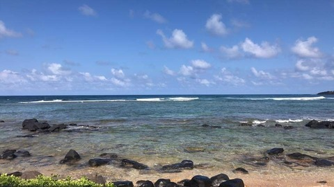 misstrippie OnlyFans - Free Access to 32 Videos & 104 Photos Onlyfans Free Access