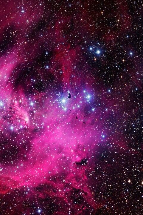 missybadpanda OnlyFans - Free Access to 32 Videos & 116 Photos Onlyfans Free Access