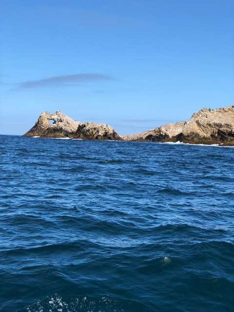 mixedvixen OnlyFans - Free Access to 32 Videos & 49 Photos Onlyfans Free Access