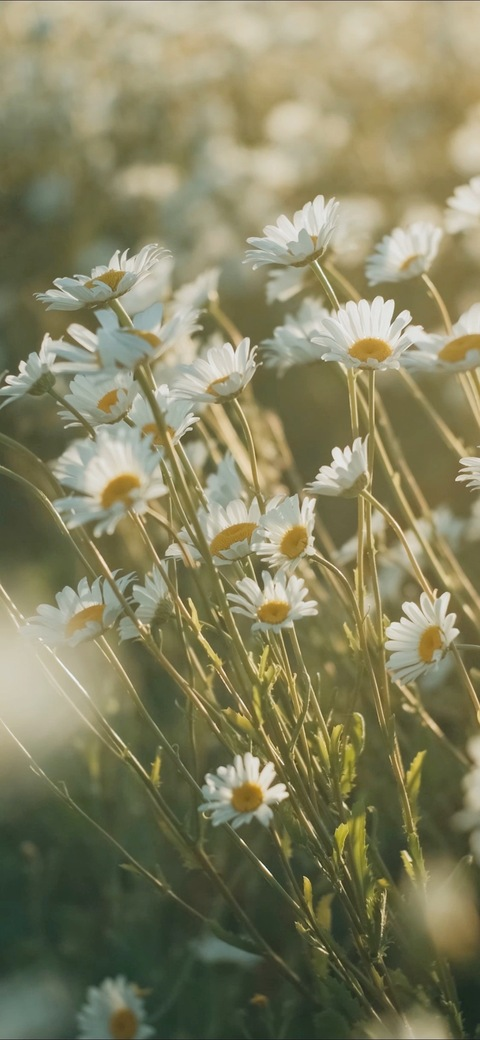 mkletsplay OnlyFans - Free Access to 32 Videos & 49 Photos Onlyfans Free Access