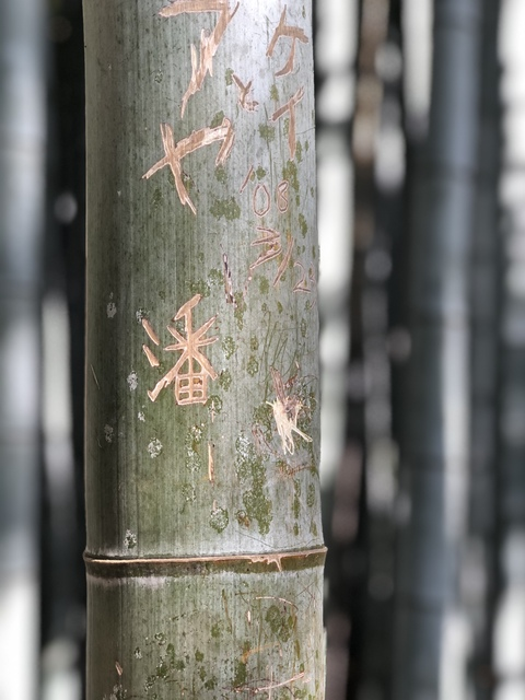 mlxxxvi OnlyFans - Free Access to 32 Videos & 49 Photos Onlyfans Free Access