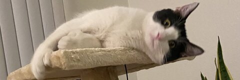 mmmelissa97 OnlyFans - Free Access to 32 Videos & 49 Photos Onlyfans Free Access