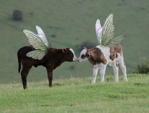 mommydommey OnlyFans - Free Access to 42 Videos & 106 Photos Onlyfans Free Access