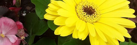 moonchild200 OnlyFans - Free Access to 32 Videos & 49 Photos Onlyfans Free Access