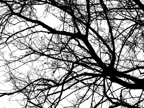 morgan_hellion OnlyFans - Free Access to 32 Videos & 74 Photos Onlyfans Free Access