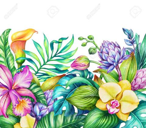 morganparadise420 OnlyFans - Free Access to 32 Videos & 75 Photos Onlyfans Free Access