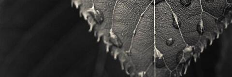 mousek82 OnlyFans - Free Access to 32 Videos & 49 Photos Onlyfans Free Access