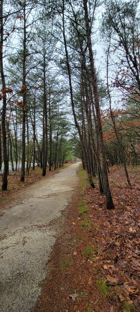 mrbigd87 OnlyFans - Free Access to 32 Videos & 49 Photos Onlyfans Free Access