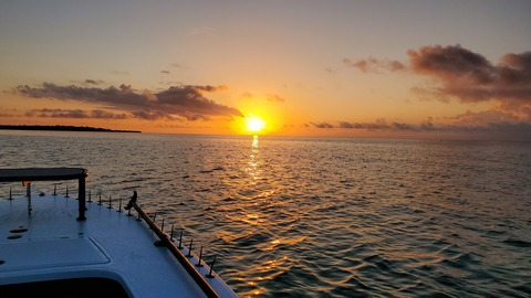 mrtbear OnlyFans - Free Access to 32 Videos & 49 Photos Onlyfans Free Access