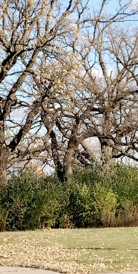 ms.enjoii OnlyFans - Free Access to 45 Videos & 126 Photos Onlyfans Free Access