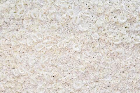 mulatagostosa OnlyFans - Free Access to 32 Videos & 77 Photos Onlyfans Free Access