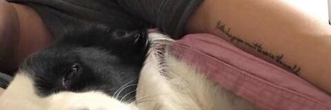 muleicui OnlyFans - Free Access to 32 Videos & 49 Photos Onlyfans Free Access