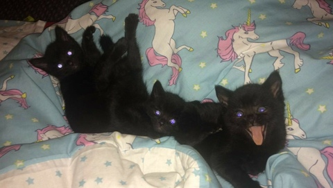 murksis OnlyFans - Free Access to 32 Videos & 56 Photos Onlyfans Free Access