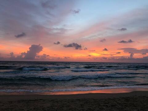 myamerae OnlyFans - Free Access to 53 Videos & 189 Photos Onlyfans Free Access