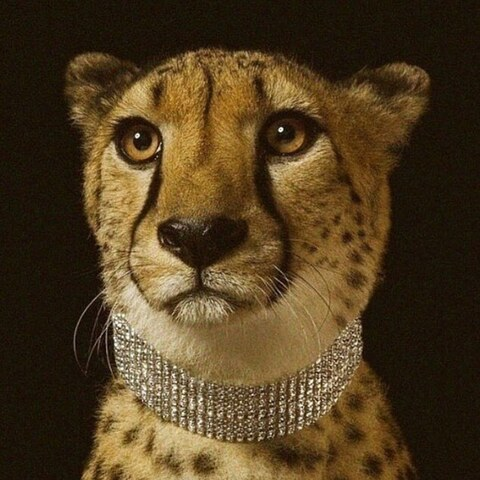 mycherienicole OnlyFans - Free Access to 32 Videos & 75 Photos Onlyfans Free Access