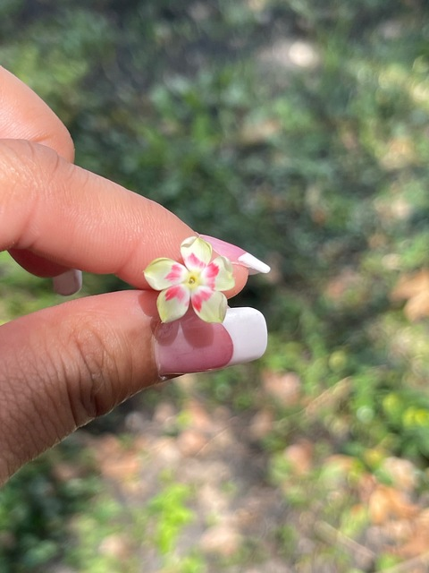 mysteriousways111 OnlyFans - Free Access to 32 Videos & 49 Photos Onlyfans Free Access