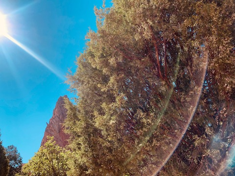 mystery1998texas OnlyFans - Free Access to 32 Videos & 49 Photos Onlyfans Free Access