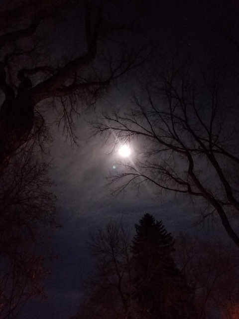 natasja OnlyFans - Free Access to 32 Videos & 49 Photos Onlyfans Free Access