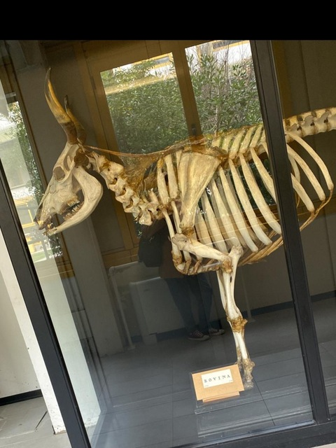 naughtyvett OnlyFans - Free Access to 32 Videos & 49 Photos Onlyfans Free Access