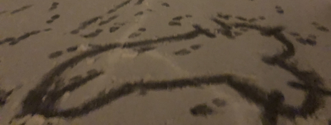 nenadelcentro OnlyFans - Free Access to 92 Videos & 67 Photos Onlyfans Free Access