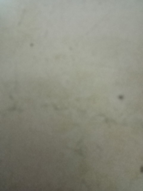 nessabb OnlyFans - Free Access to 32 Videos & 49 Photos Onlyfans Free Access