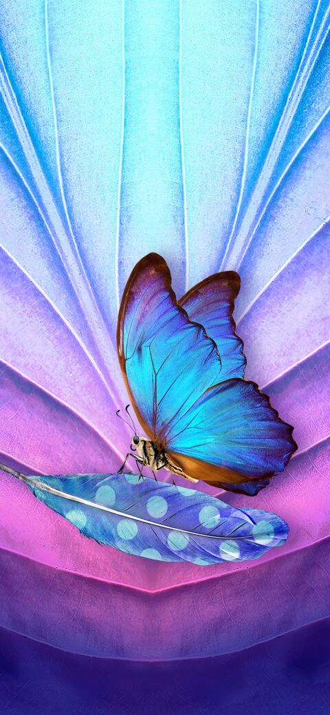 nicky4you OnlyFans - Free Access to 32 Videos & 49 Photos Onlyfans Free Access