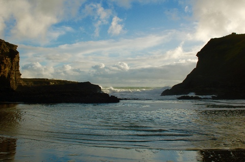 nicole865 OnlyFans - Free Access to 32 Videos & 60 Photos Onlyfans Free Access