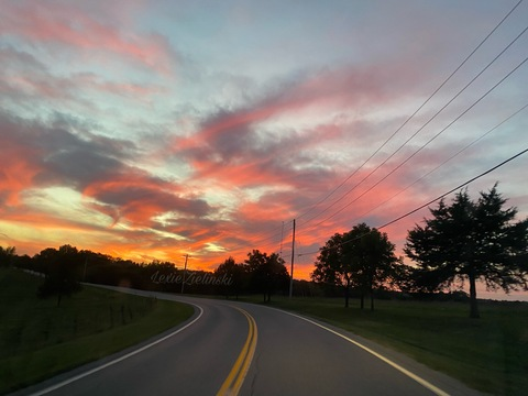 nicolealexis OnlyFans - Free Access to 32 Videos & 49 Photos Onlyfans Free Access