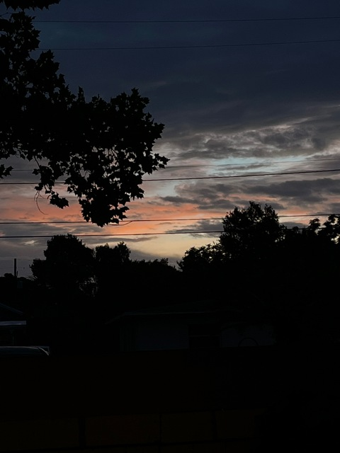 nini1k OnlyFans - Free Access to 32 Videos & 49 Photos Onlyfans Free Access