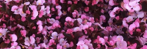 nkizzllee OnlyFans - Free Access to 32 Videos & 49 Photos Onlyfans Free Access