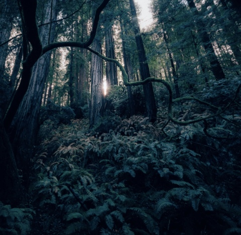 nocturnally_yours OnlyFans - Free Access to 32 Videos & 49 Photos Onlyfans Free Access