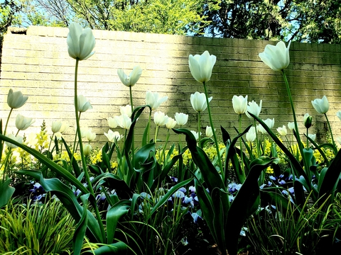 noe-lia OnlyFans - Free Access to 32 Videos & 49 Photos Onlyfans Free Access