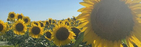 noheroesall0wed OnlyFans - Free Access to 32 Videos & 49 Photos Onlyfans Free Access