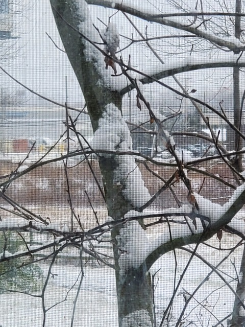 norwayxlove OnlyFans - Free Access to 32 Videos & 81 Photos Onlyfans Free Access