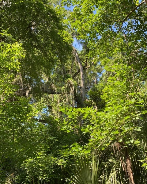 notrenwren OnlyFans - Free Access to 64 Videos & 49 Photos Onlyfans Free Access