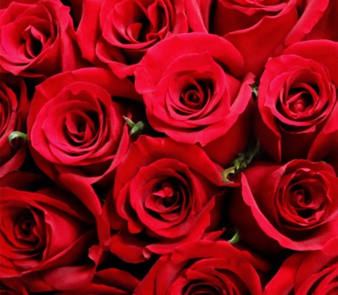 nouflou OnlyFans - Free Access to 32 Videos & 464 Photos Onlyfans Free Access