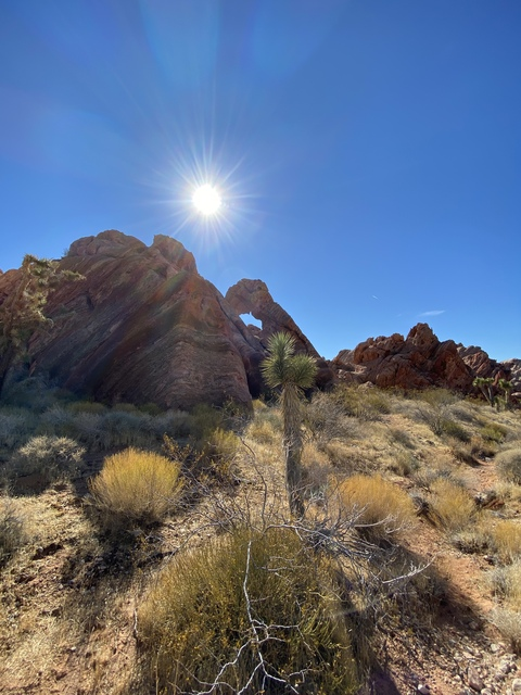 noxious_all_inclusive OnlyFans - Free Access to 76 Videos & 427 Photos Onlyfans Free Access