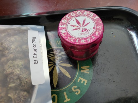 nunavut1999 OnlyFans - Free Access to 32 Videos & 61 Photos Onlyfans Free Access