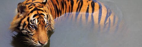 nyxthegodfree OnlyFans - Free Access to 32 Videos & 49 Photos Onlyfans Free Access