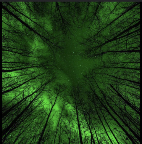 oceanmay2020 OnlyFans - Free Access to 32 Videos & 122 Photos Onlyfans Free Access