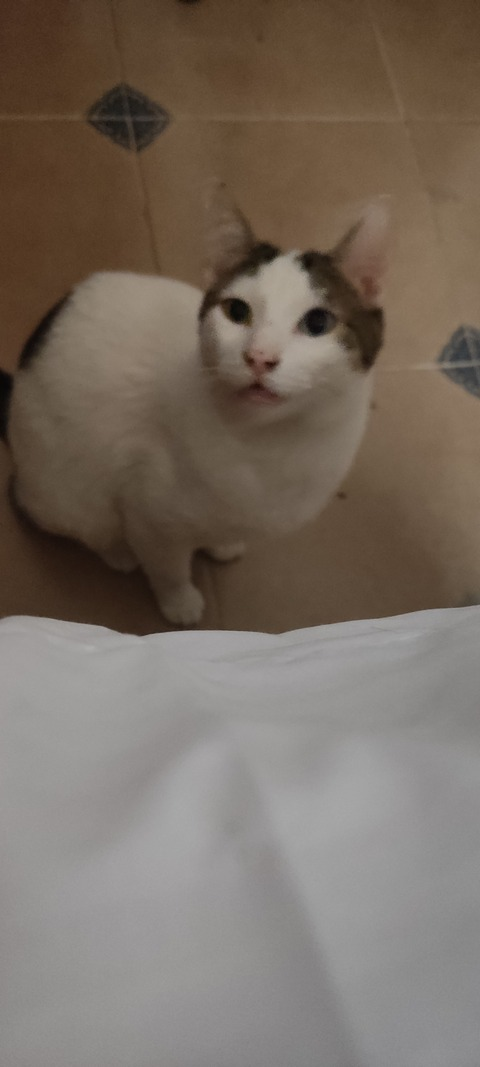 octnot OnlyFans - Free Access to 32 Videos & 49 Photos Onlyfans Free Access