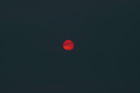 oddhoney OnlyFans - Free Access to 32 Videos & 107 Photos Onlyfans Free Access