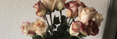 oh_ivon OnlyFans - Free Access to 32 Videos & 49 Photos Onlyfans Free Access