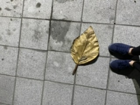 onlyfeetno1 OnlyFans - Free Access to 32 Videos & 49 Photos Onlyfans Free Access