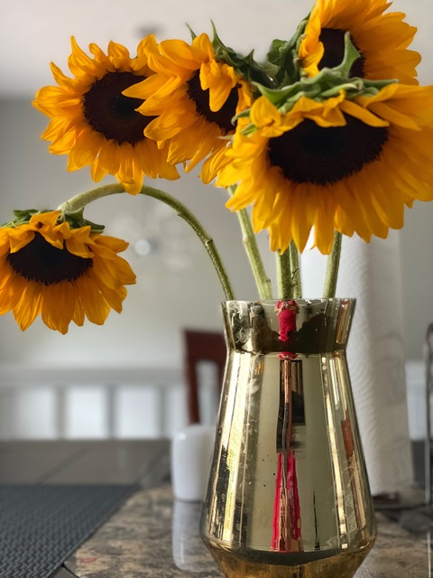 ovo_gabrielaa OnlyFans - Free Access to 32 Videos & 49 Photos Onlyfans Free Access