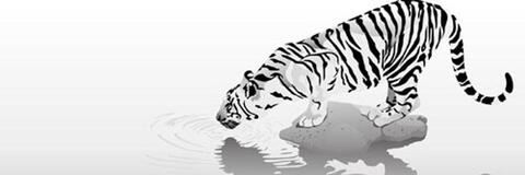 ozawamaria0108 OnlyFans - Free Access to 32 Videos & 49 Photos Onlyfans Free Access